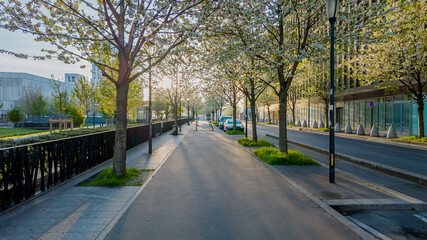 Fototapeta na wymiar Serene spring morning on a tree-lined urban street with blooming flowers, symbolizing renewal and Earth Day, perfect for seasonal concepts and city planning themes