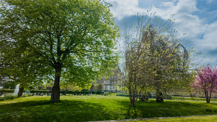 Fototapeta na wymiar Lush spring park with verdant trees and blossoming flora on a sunny day, ideal for Earth Day and International Day of Forests concepts