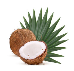 Whole coconut and coconut cut in half with green palm leaves