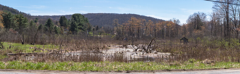 Bradford apr 25 2024, early spring bloom copy space natural backgrounds, landscape, Panorama of small USA town