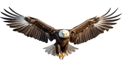 Fototapeta premium American Eagle is flying gracefully isolated on a transparent background
