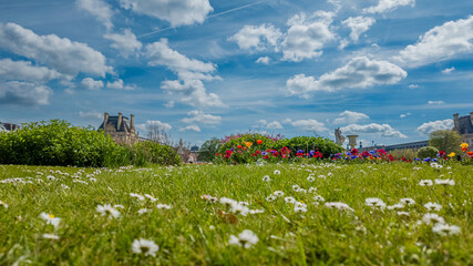 Vibrant spring meadow with colorful flowers and historical buildings under a blue sky with fluffy...