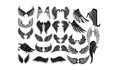 Wings Vector bundle, Baby Penguin Clipart, Silhouette, Vector, icons, illustration, design.