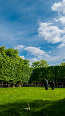Verdant spring park with fluffy clouds in blue sky, vibrant green grass, and modern sculptures, ideal for Earth Day and World Environment Day themes