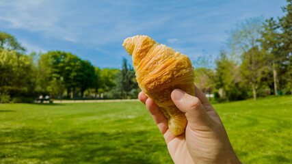 Hand holding a fresh croissant in a sunny park setting, symbolizing leisure, picnics, and National Croissant Day with a springtime vibe