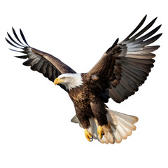 bald eagle in flight isolated on a transparent background