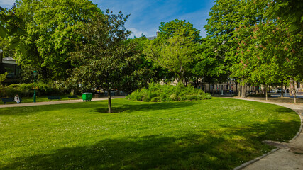 Tranquil city park on a sunny day with lush green grass and mature trees, ideal for relaxation and leisure on Earth Day or Arbor Day