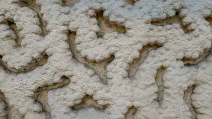Close-up of intricate stone wall carving with abstract floral pattern, suitable for backgrounds, texture overlays, and historical architecture themes