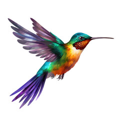 Obraz premium Beautiful flying hummingbird on a transparent background