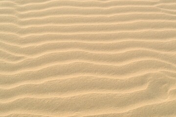 sand dunes background with ripple pattern