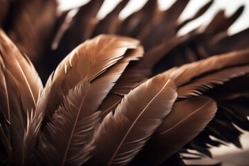'closeup feathers vulture brown feather bird natural background animal wildlife nature texture wild beauty fauna beautiful up decoration detail colourful plumage colours pattern bright close macro' - Powered by Adobe