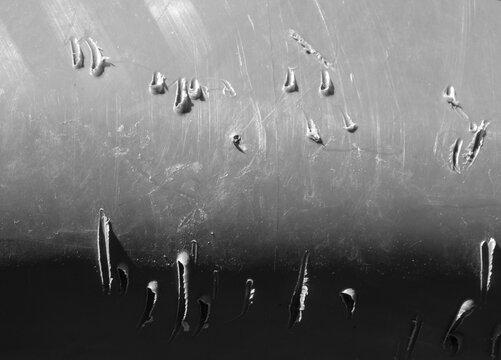 The marks of a bear's teeth on a piece of plastic from a trash can