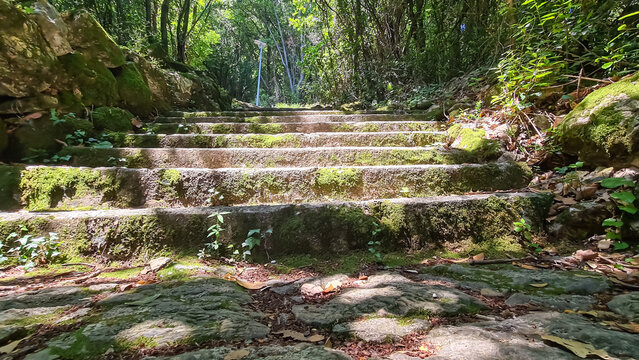 A famous stairway through the forest leading to Moscenice, Croatia. The stairs are made of irregulars shaped stones, having different size. The sides are overgrown with lush plants and moss.