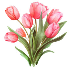 Obraz premium bouquet of pink tulips isolated on a transparent background