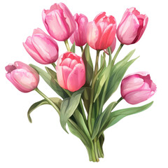 Fototapeta premium bouquet of pink tulips isolated on a transparent background