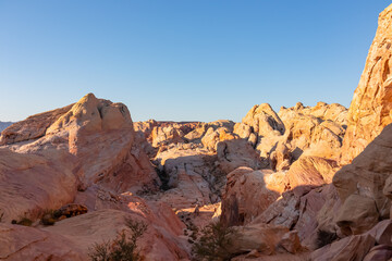 Panoramic sunrise view of arid landscape with striated red and white rock formations along the White Domes Hiking Trail in Valley of Fire State Park in Mojave desert, Overton, Nevada, USA. Road trip