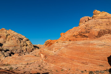 Fototapeta premium Panoramic view of striated red and orange Aztec Sandstone Rock formations and desert vegetation in Valley of Fire State Park in the Mojave desert, Overton, Nevada, USA. Dramatic arid natural landscape
