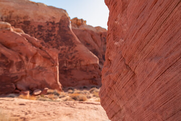 Fototapeta premium Close up view of red Aztek sandstone rock formations in Petroglyph Canyon along Mouse Tank hiking trail in Valley of Fire State Park in Mojave desert, Nevada, USA. Hot temperature in arid vegetation