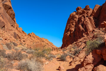 Panoramic view of red Aztek sandstone rock formations in Petroglyph Canyon along Mouse Tank hiking trail in Valley of Fire State Park in Mojave desert, Nevada, USA. Hot temperature in arid vegetation