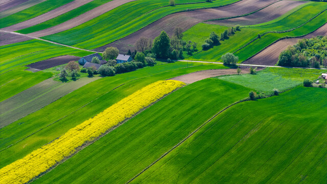 Fototapeta Colorful countryside and farmlands in Ponidzie region of Poland. Aerial drone view