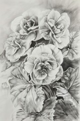 This is a graphite pencil drawing focused on rose-like flowers with pronounced petals and leaves demonstrating light and shadow