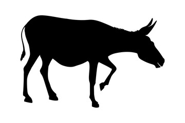 vector, isolated black silhouette of a donkey