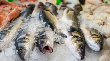 Fresh fish on ice.