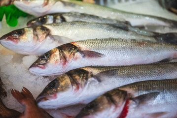 Fresh sea bass fish on the market.