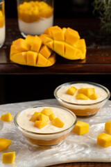 Mango Rabri food photography for digital marketing