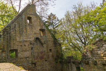 Klosterruine Disibodenberg