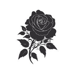 Beautiful rose flowers. Vector illustration.	