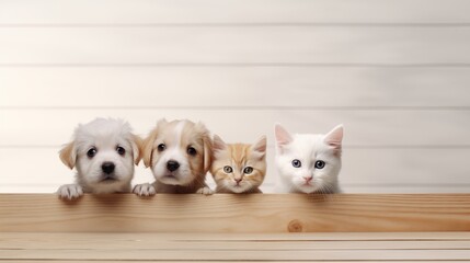 Cute puppies and kittens peek behind a wooden banner with empty space for text or product...