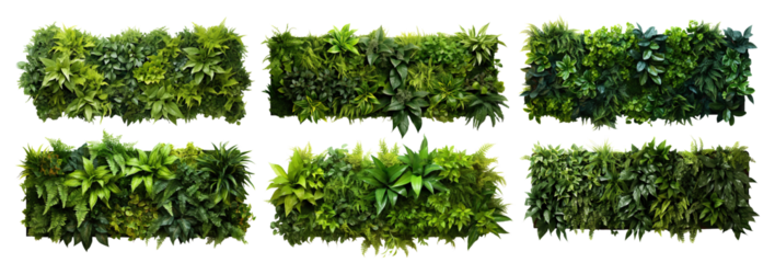 Set of green garden walls from tropical plants, cut out
