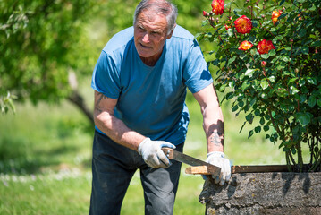 An elderly man is fixing his gardening tool. He is using suitable tools to fix his broken gardening...