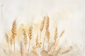 Fototapeta premium Watercolor illustration of wheat, beige and light yellow tones, white background, soft edges, delicate watercolors Generative AI