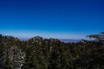 Scenic aerial vistas of Coachella Valley seen from the top of Palm Springs tramway station in Mt. San Jacinto State Park, California, USA. View on mountain landscape and canyons. Trees in foreground