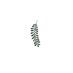 Transparent plant sprig element for design without background png