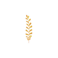 Transparent plant sprig element for design without background png