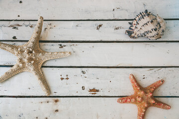 Top view of two starfishes and a seashell lying on a rustic white wooden surface