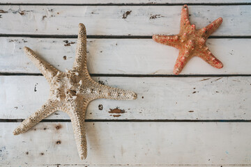 Top view of two starfishes lying on a rustic white wooden background