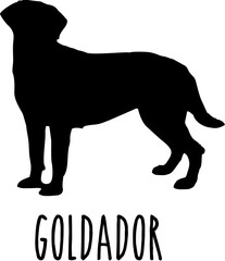 Dog Svg Bundle, Dog Cut Files, Dog Mom Svg, Dog Lover Svg,Dog Quote Svg, Dog Saying, Dog Design, Pet Svg, Pet Dog Svg, Dog Clipart