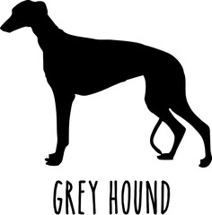 Dog Svg Bundle, Dog Cut Files, Dog Mom Svg, Dog Lover Svg,Dog Quote Svg, Dog Saying, Dog Design, Pet Svg, Pet Dog Svg, Dog Clipart