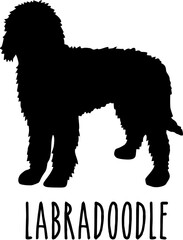 Dog Svg Bundle, Dog Cut Files, Dog Mom Svg, Dog Lover Svg,Dog Quote Svg, Dog Saying, Dog Design, Pet Svg, Pet Dog Svg, Dog Clipart