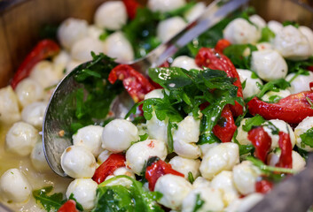 Salad with mozzarella, arugula and peppers