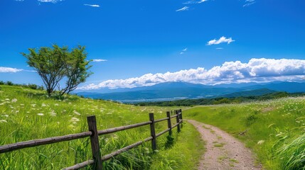 Obraz premium A beautiful scenic view of a mountain trail under a clear blue sky, surrounded by lush greenery and serene nature