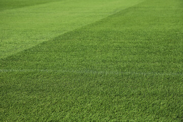 
Green stadium grass. Natural grass of a soccer stadium or football stadium. Close-up of court grass texture with natural lawn. Sports background with copy space.