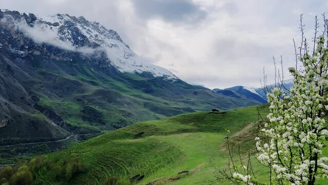 A trail in the green valley of the Karmadon gorge overlooking the Kolka glacier. The Main Caucasian Ridge. Summer view of the Karmadon gorge. A mountain valley after the collapse of rocks and ice. 4К