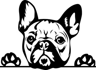 Dog Svg , Dog Cut Files, Dog Mom Svg, Dog Lover Svg,Dog Quote Svg, Dog Saying, Dog Design, Pet Svg, Pet Dog Svg, Dog Clipart