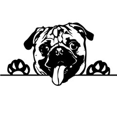 Dog Svg , Dog Cut Files, Dog Mom Svg, Dog Lover Svg,Dog Quote Svg, Dog Saying, Dog Design, Pet Svg, Pet Dog Svg, Dog Clipart