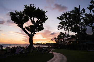 Silhouetted people watching the sunset on the beach in Kauai Hawaii